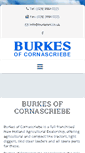 Mobile Screenshot of burkesni.co.uk